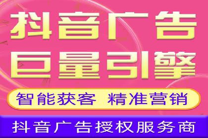 案例分析：高效信息流广告投放策略